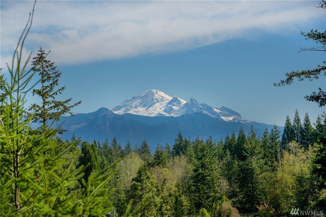 Property Photo: 5655 Everson Goshen Rd WA 98226