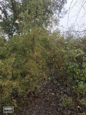 Property Photo: 0 S Brockway MI 48097