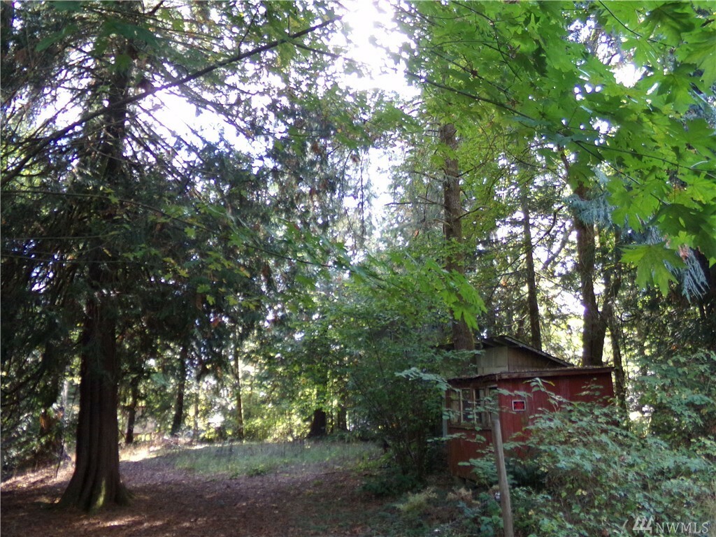Property Photo: 40 E Cloud WA 98584