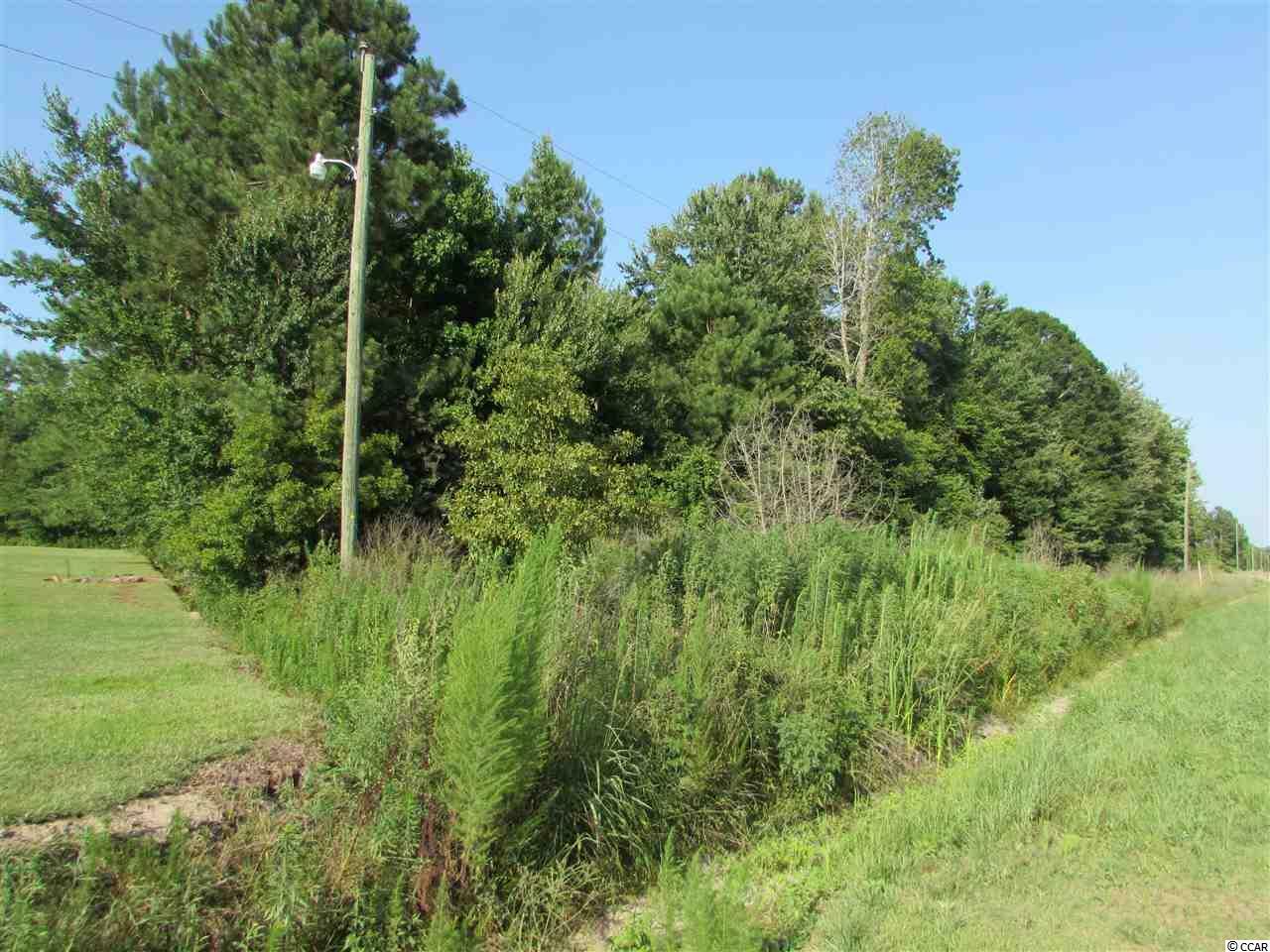 Property Photo:  2829 Bertie Rd.  SC 29545 