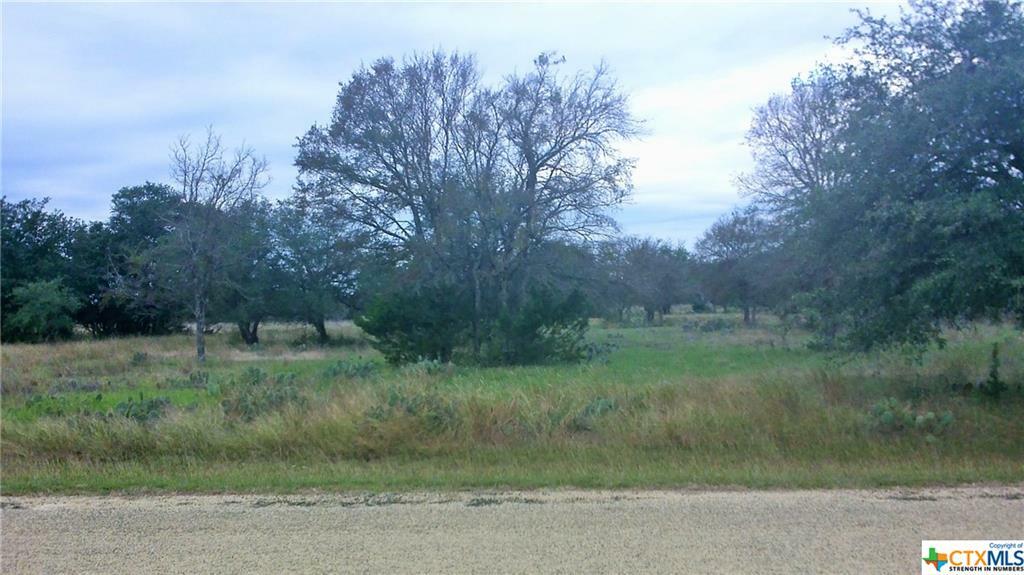 Property Photo: 000 Rustic Trail TX 76571