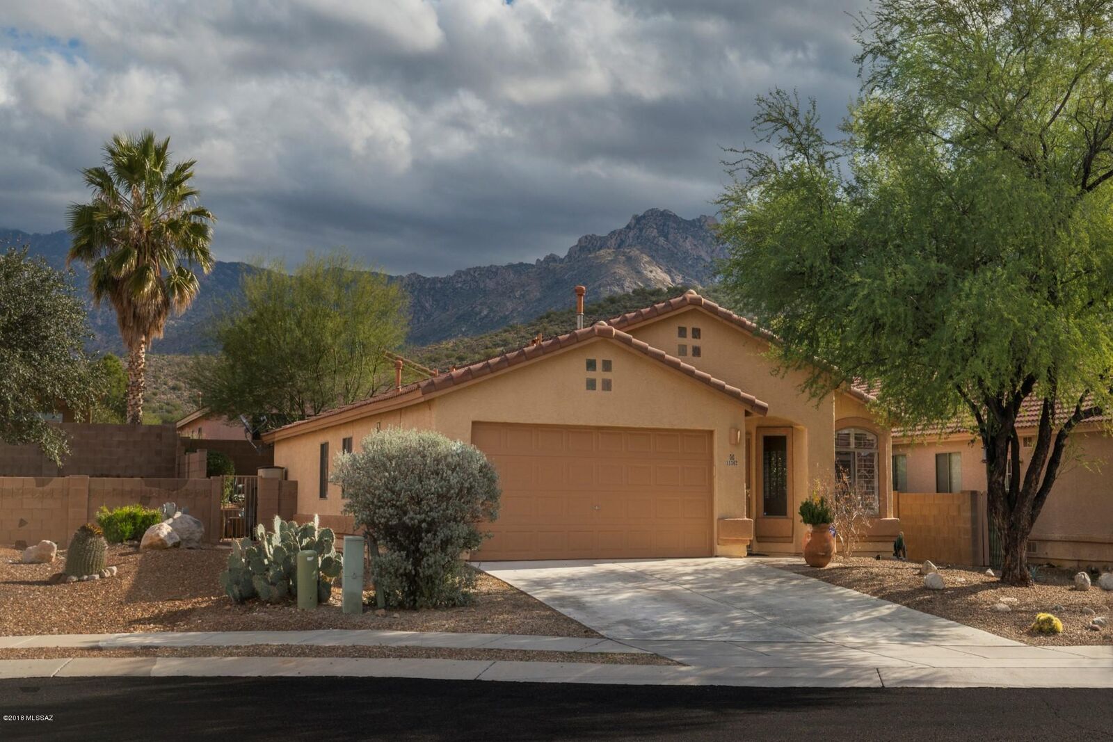 Property Photo:  11362 N Old Ram Court  AZ 85737 