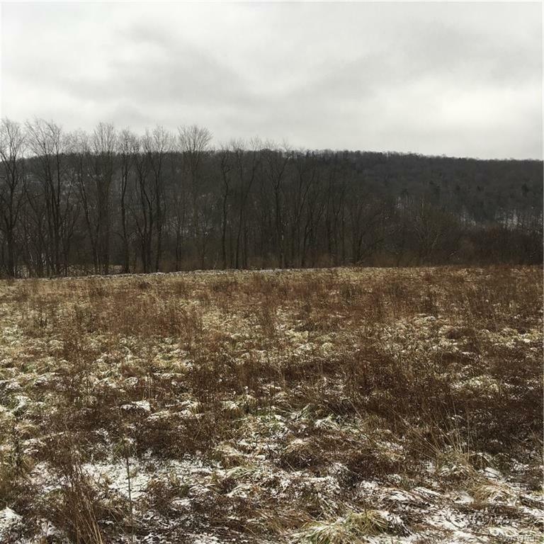 Property Photo:  5184 Route 219  NY 14741 