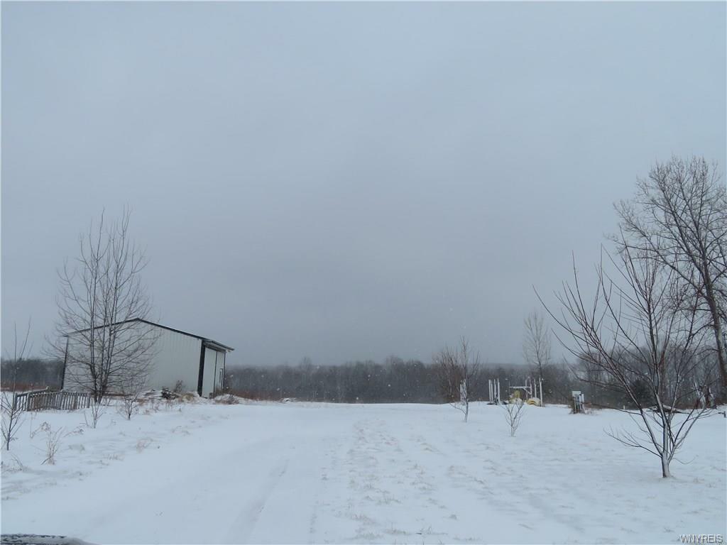 Property Photo:  11686 North Road  NY 14065 