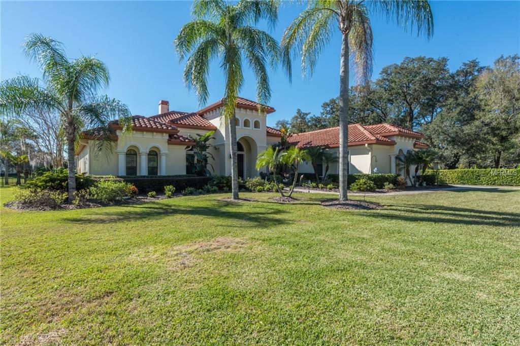 Property Photo: 2503 Summer Snow Drive FL 33559