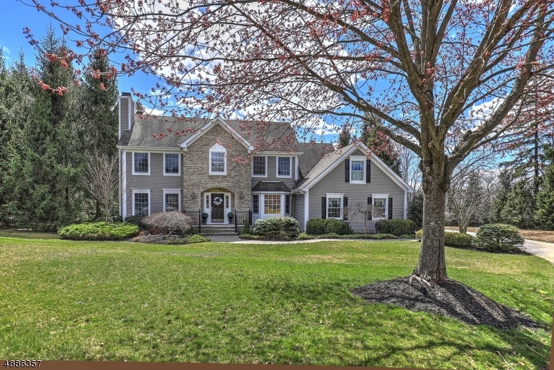 Property Photo: 4 Mahlon Ct NJ 07945
