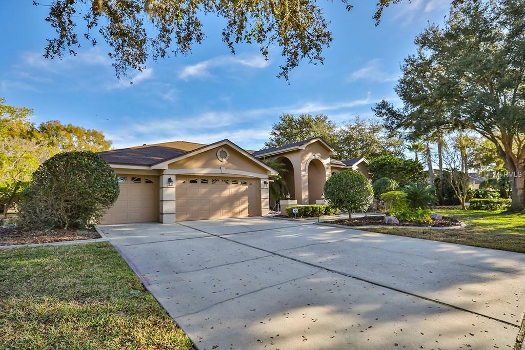 Property Photo:  3913 Arlington Drive  FL 34685 