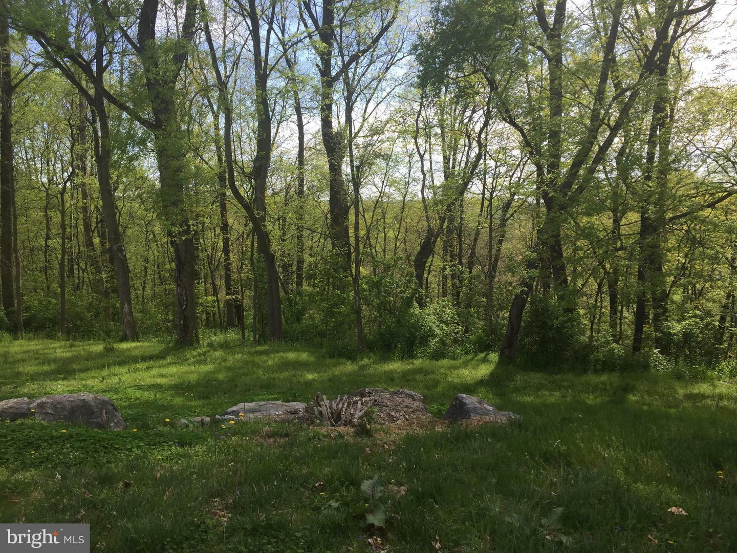 Property Photo:  206 Springdale Lane  PA 17551 