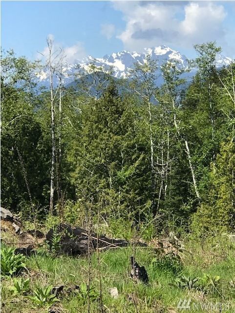 Property Photo:  1242 Hazel Point Rd  WA 98376 