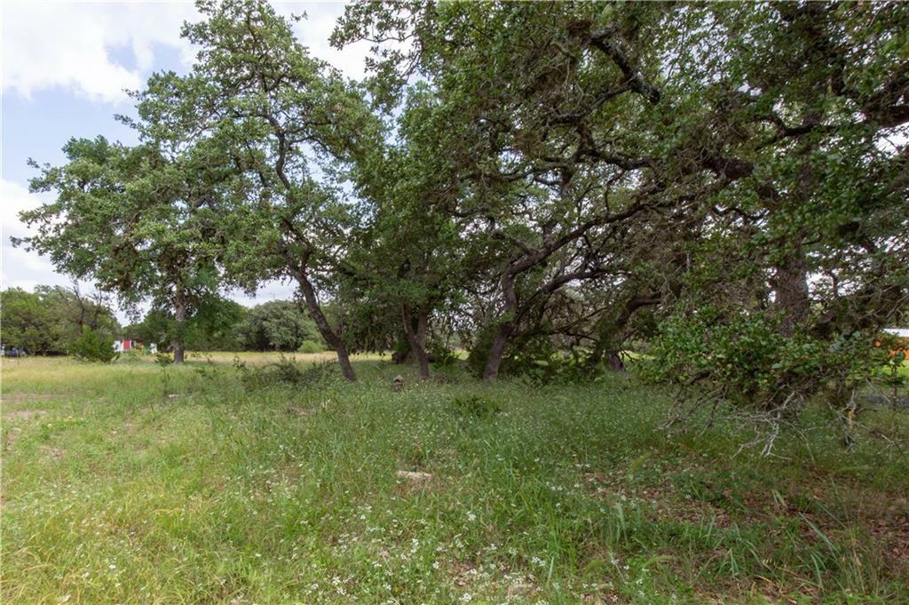 Property Photo:  410 Billie Brooks Lane  TX 78619 