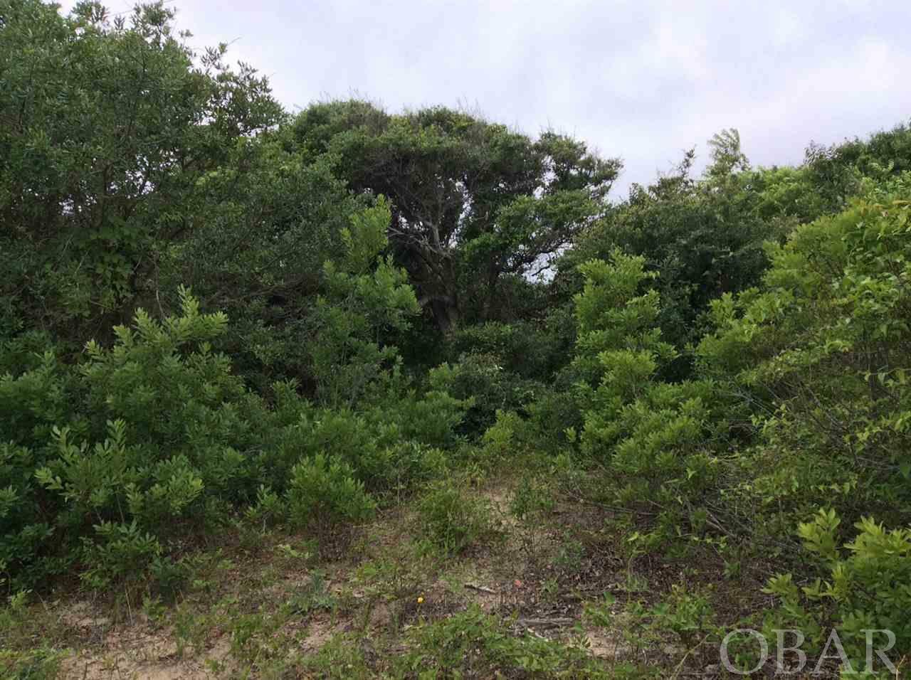 2116 Sandpiper Road Lot #205  Corolla NC 27927 photo