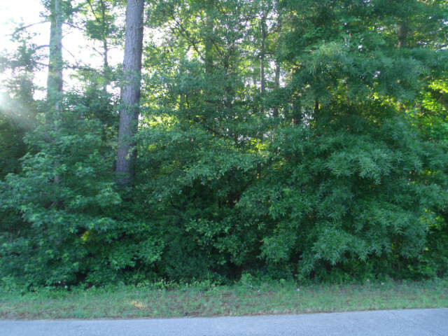 1003 Robert Moore Road  Harlem GA 30814 photo