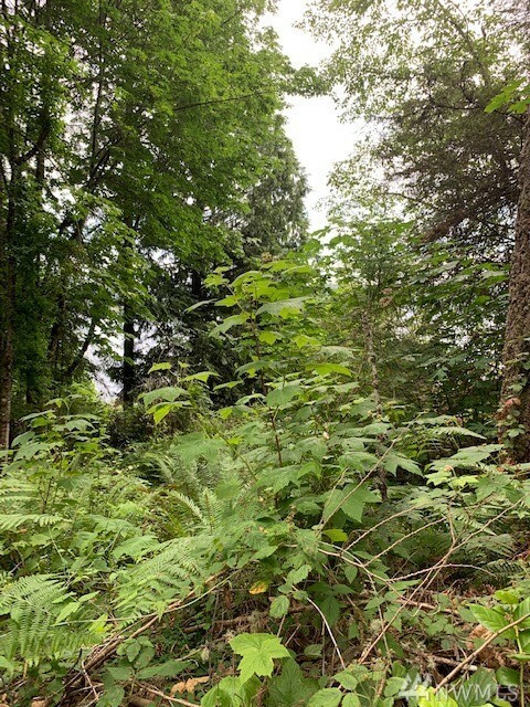 Property Photo: 0 143rd St NW WA 98335