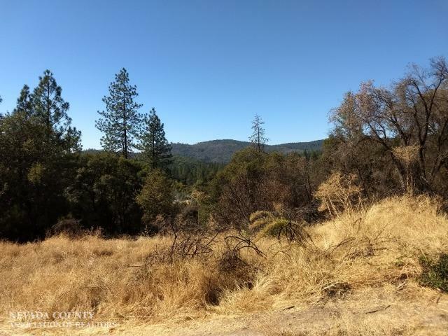 Property Photo:  26047 State Highway 49  CA 95959 