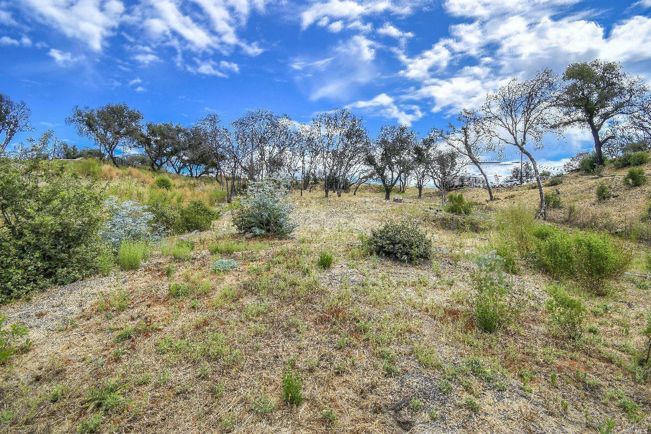 Property Photo: 1253 Mark West Springs Road CA 95404