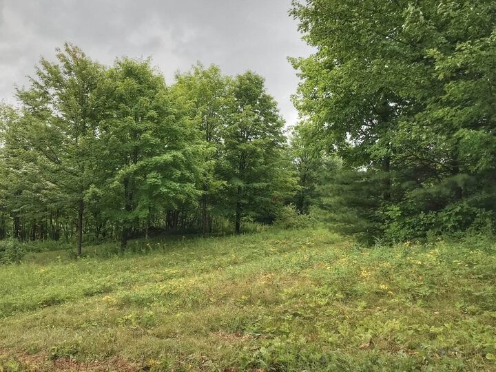 Property Photo:  00 Brigham Hill Lane  VT 05452 