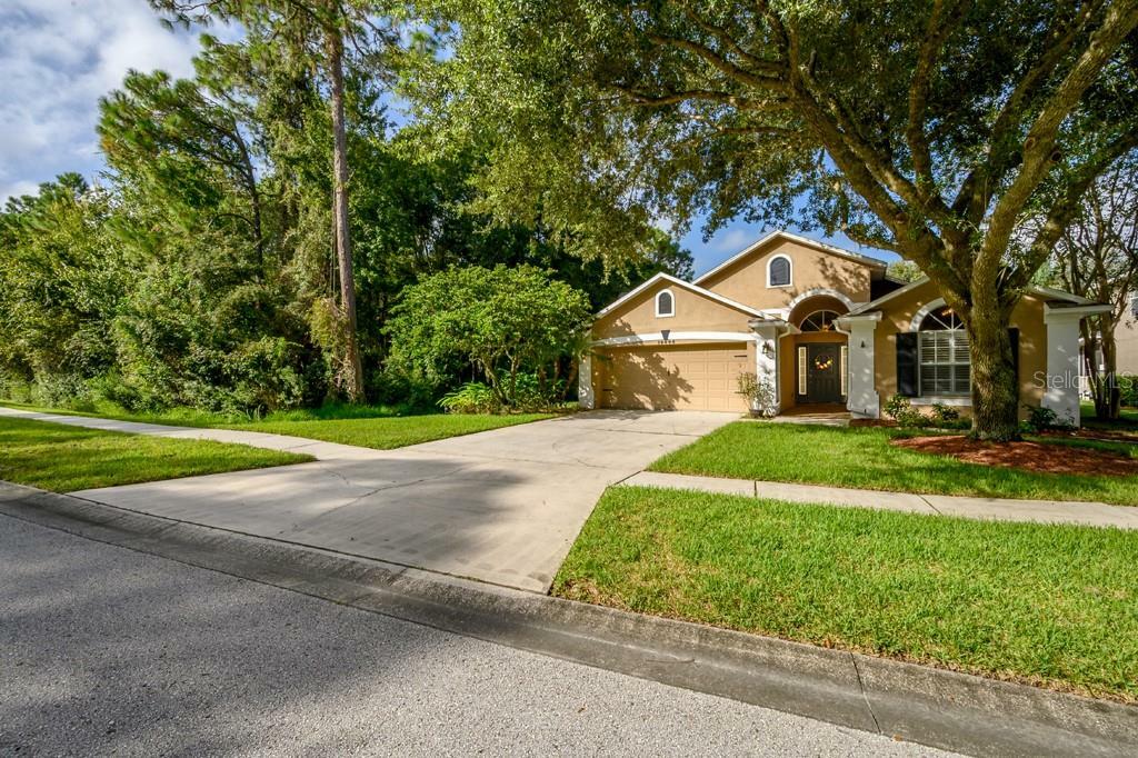 Property Photo:  14440 Pepperpine Drive  FL 33626 