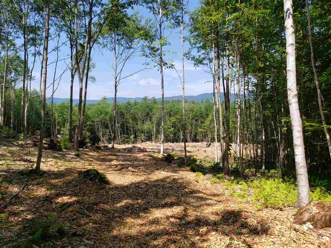 Property Photo: R20 15 H Squam Lake Road NH 03227