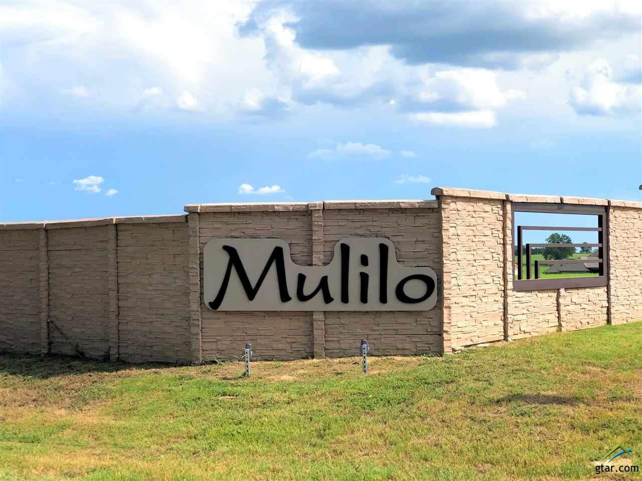 Property Photo:  370 Zebra Way  TX 75757 