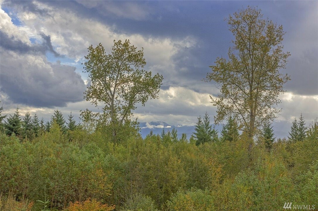 Property Photo:  284 Woodland Dr  WA 98368 