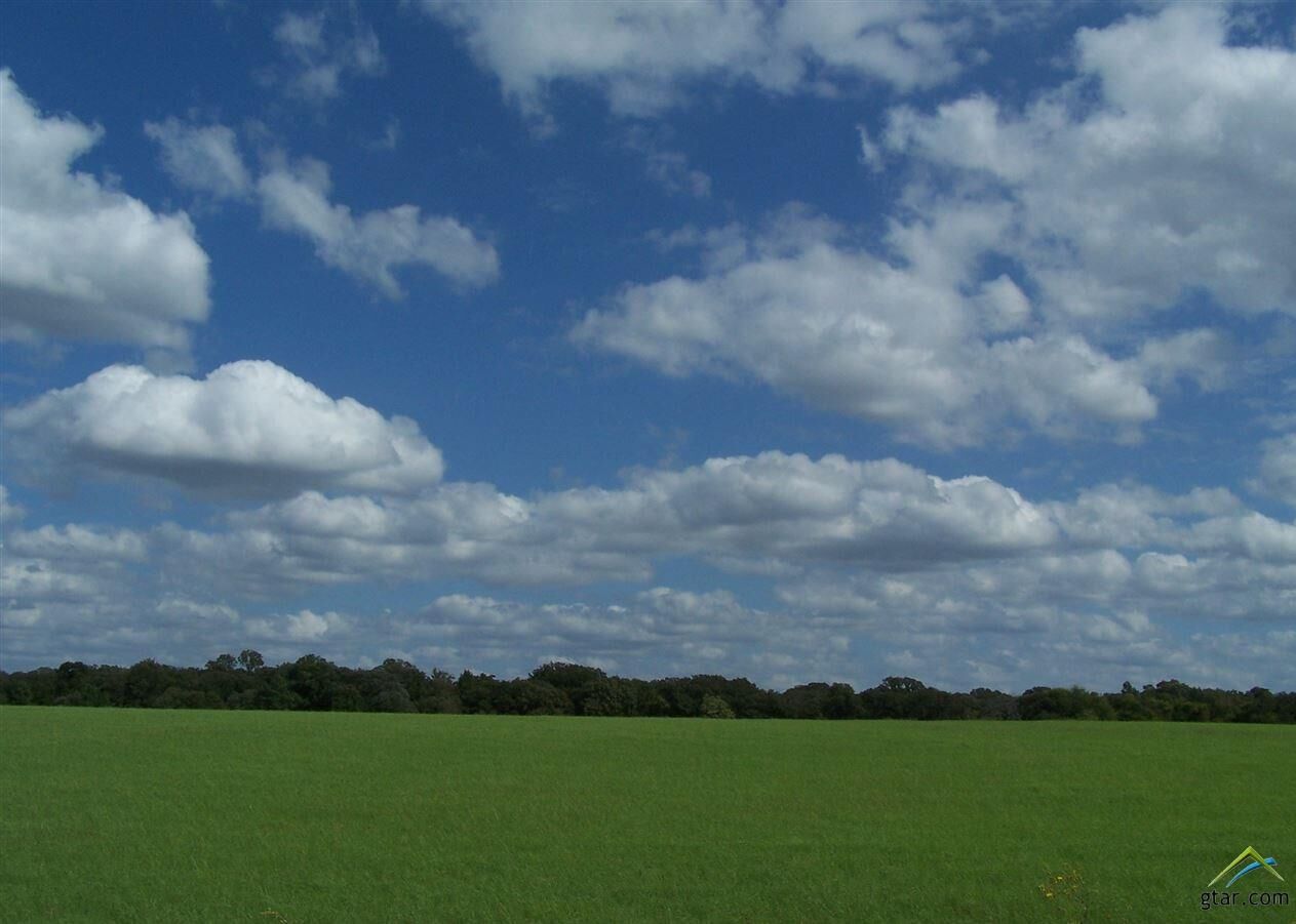 Property Photo:  000 Cr 2330  TX 75773 