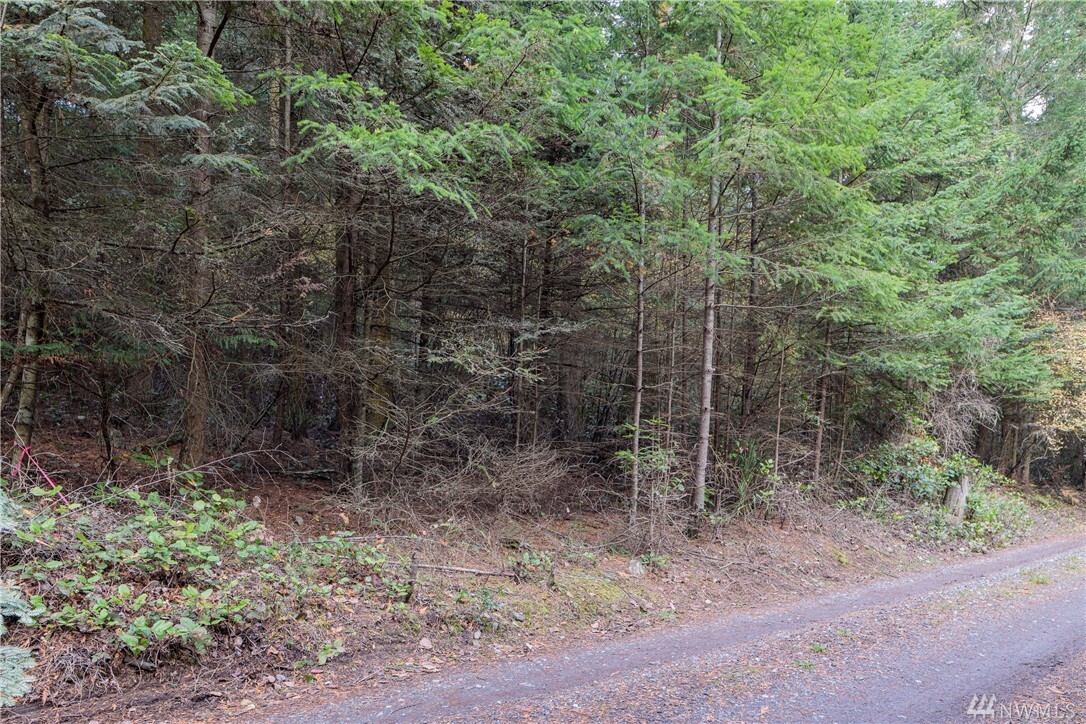 0 Captain Leison Lane  Lopez Island WA 98261 photo