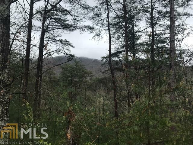 Property Photo: 0 Laurel Creek Trl 29 GA 30513