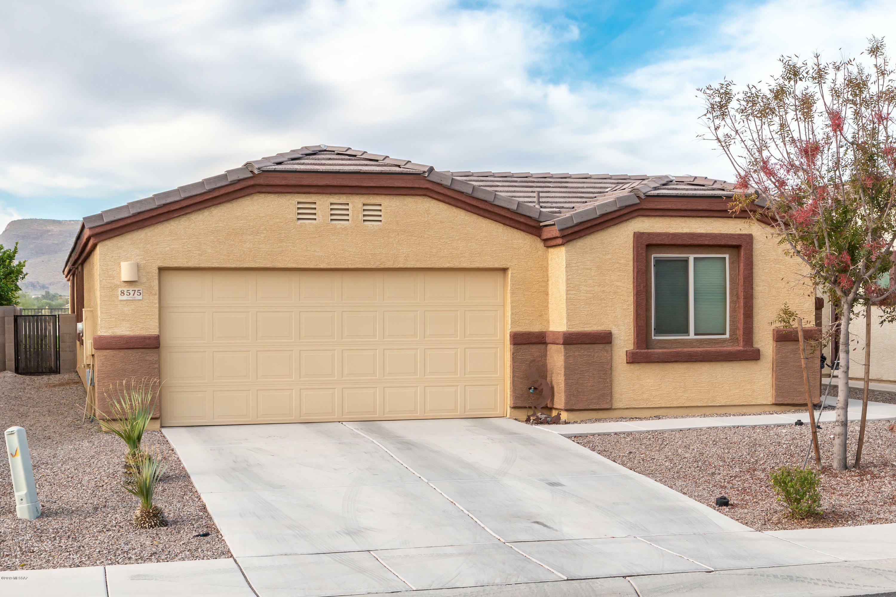 Property Photo:  8575 N Continental Links Drive  AZ 85743 