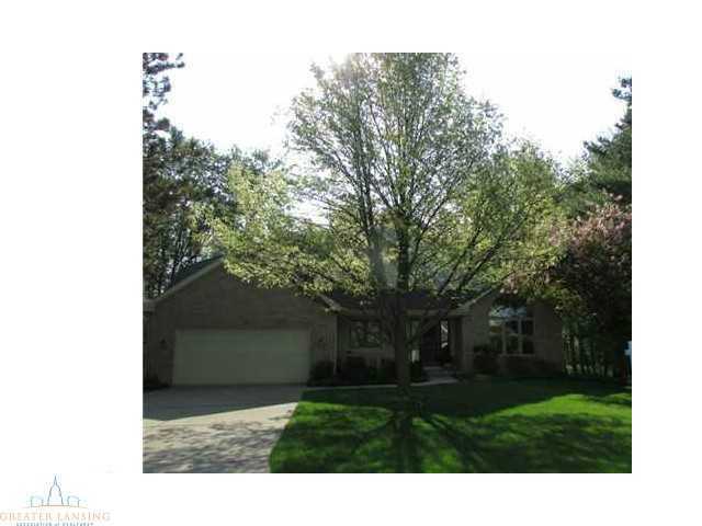 Property Photo: 11661 Woodland MI 48822