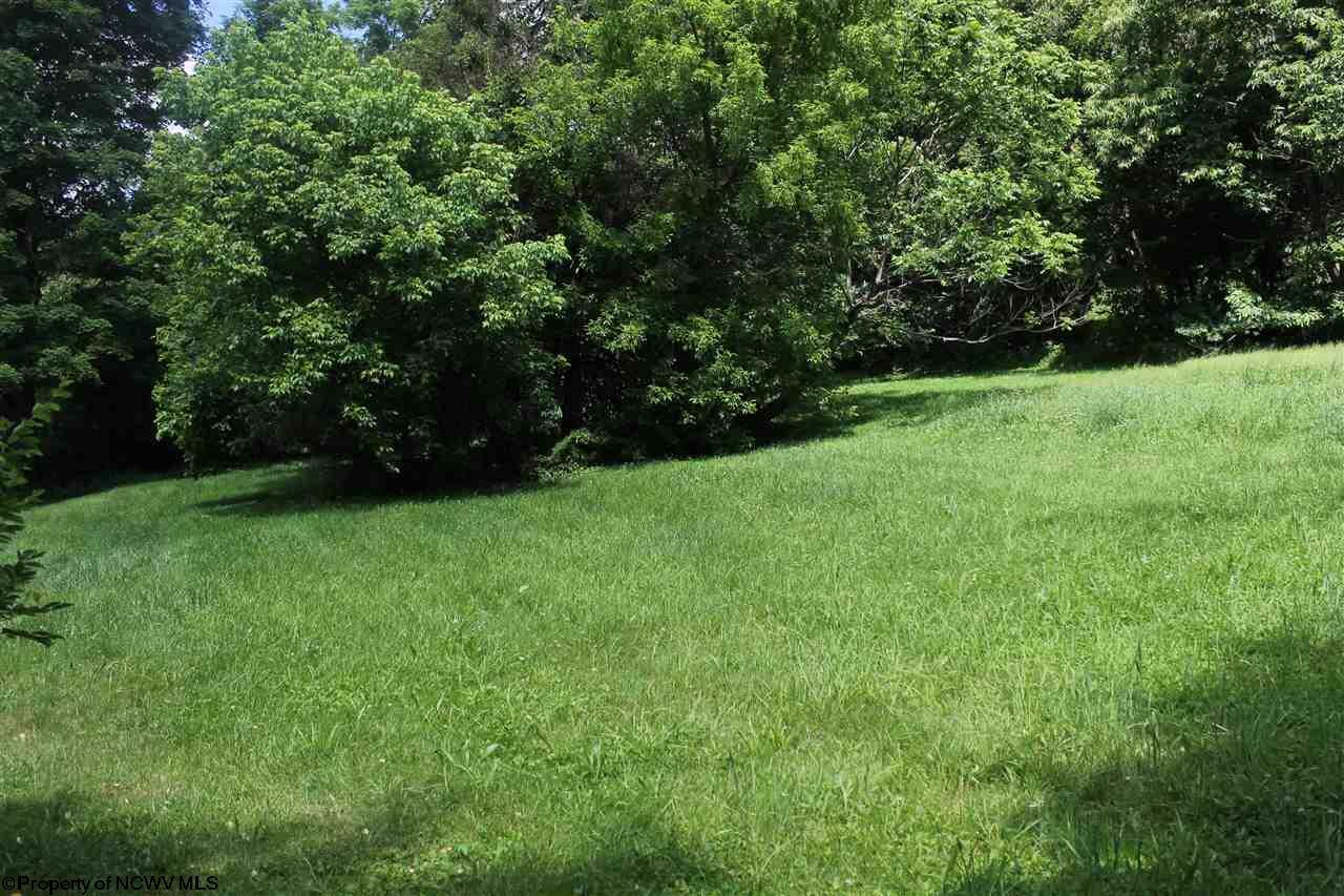 Lot 4 Knapp Street  Elkins WV 26241 photo
