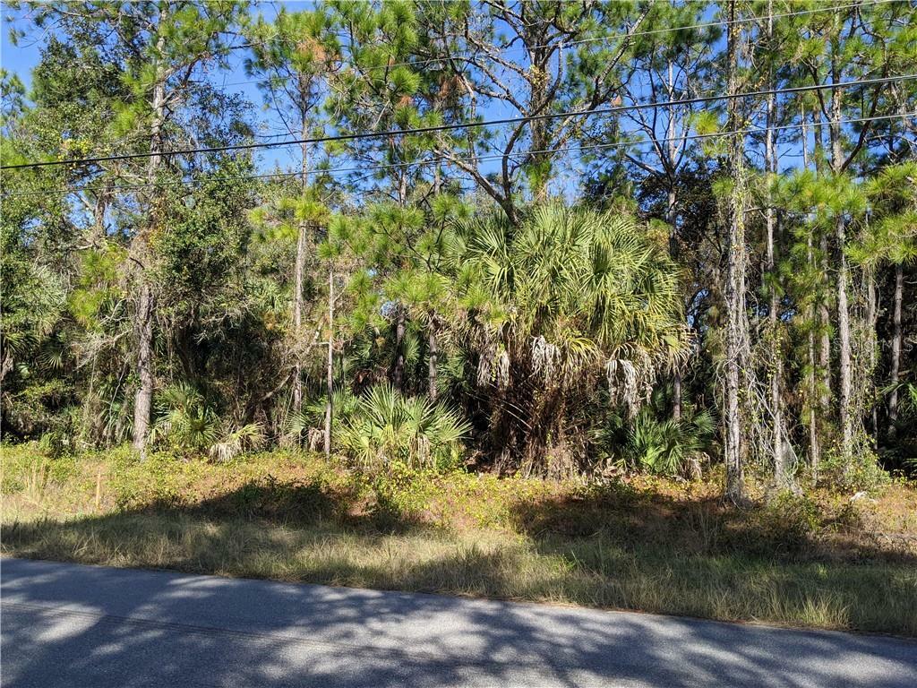 Property Photo:  Ageman Avenue  FL 34288 