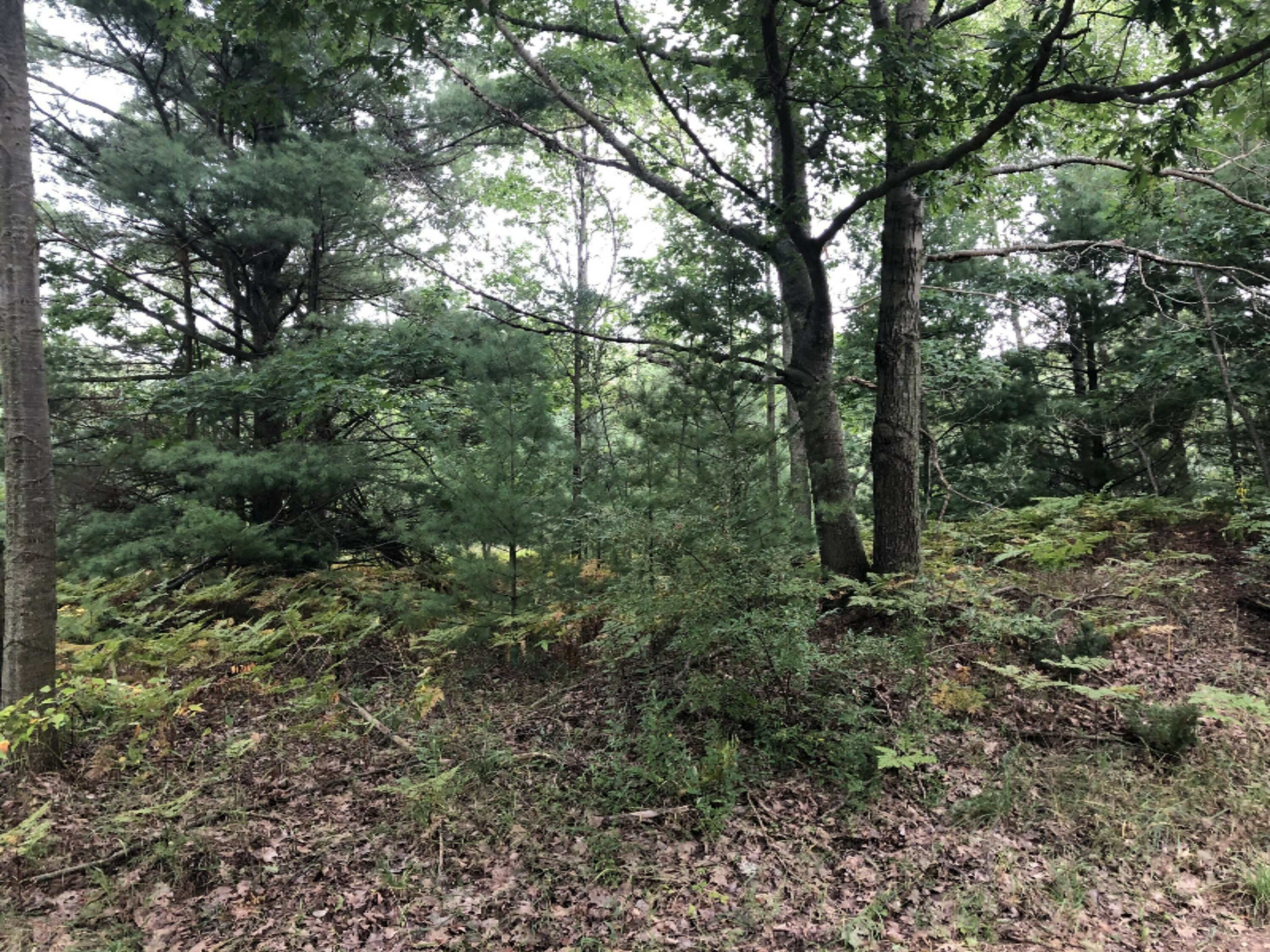 Property Photo:  Lot 3 Harrison Road  MI 49436 