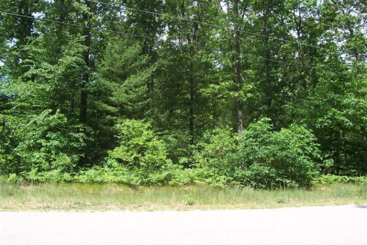 4223 Mystic Lane  Whitehall MI 49461 photo