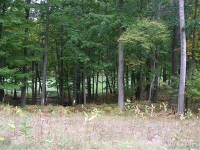 Property Photo:  9615 Aberdeen Court  MI 49346 