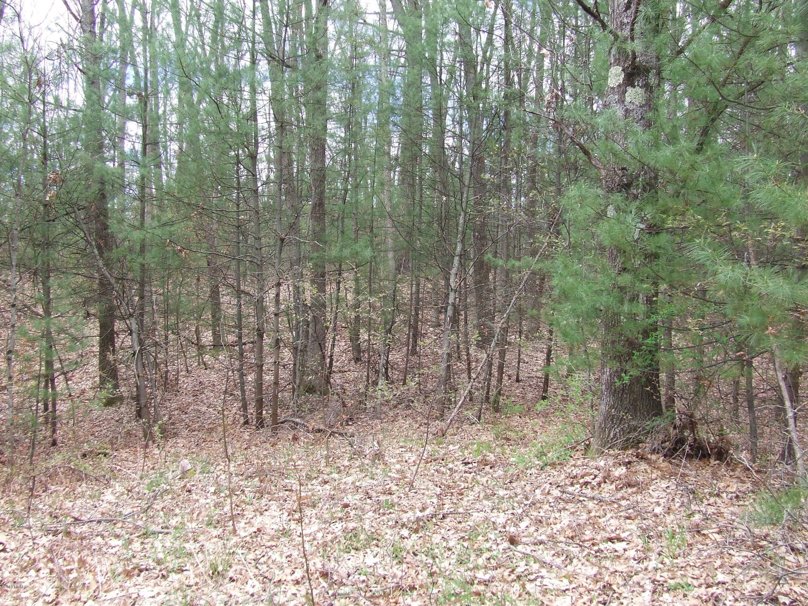 Property Photo: 0 Ewing Road MI 49457