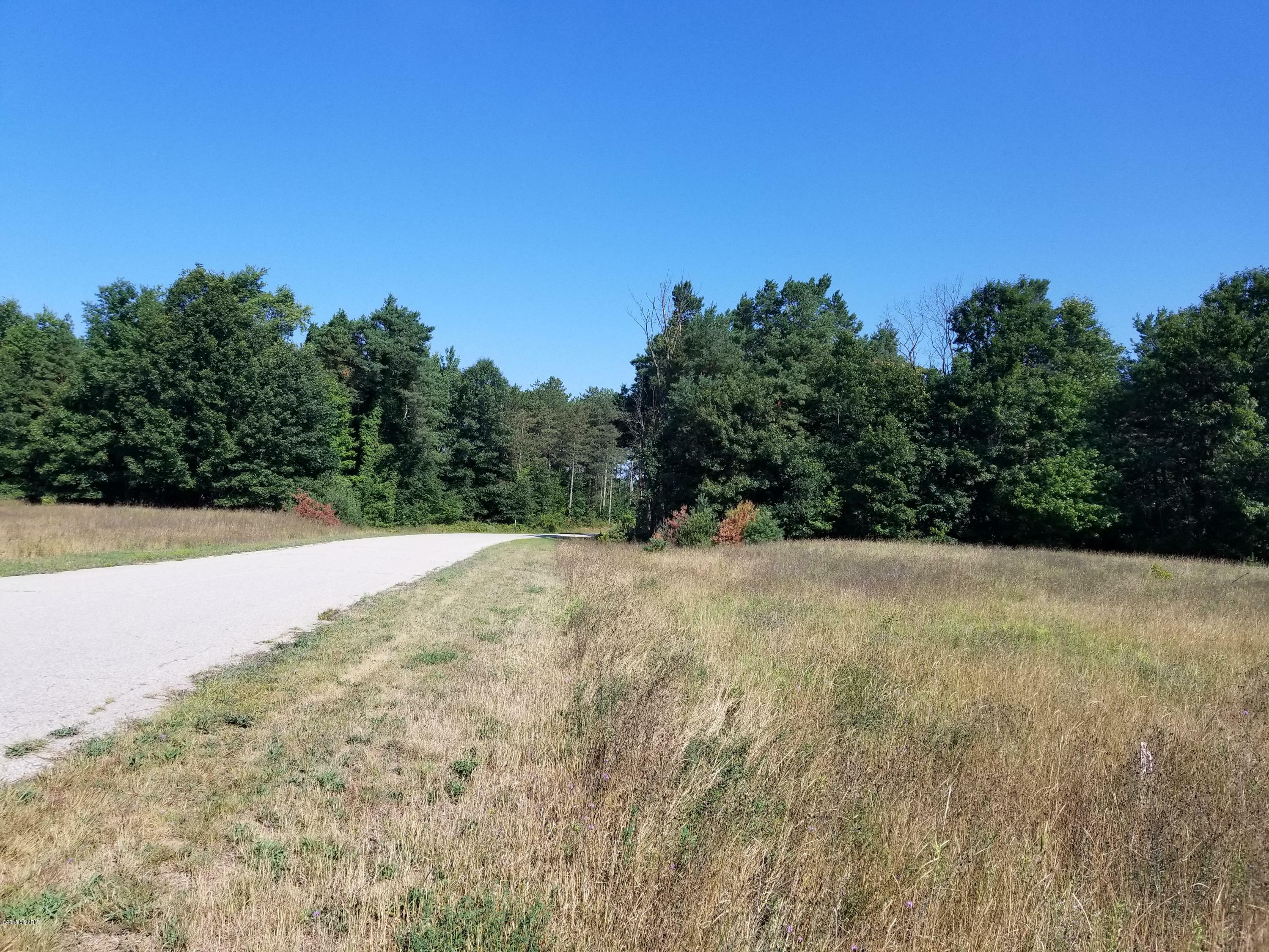 Property Photo:  Lot C Meadow View Lane  MI 49420 