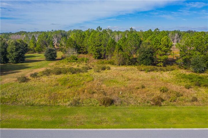 Property Photo:  428 Long And Winding Road  FL 34737 