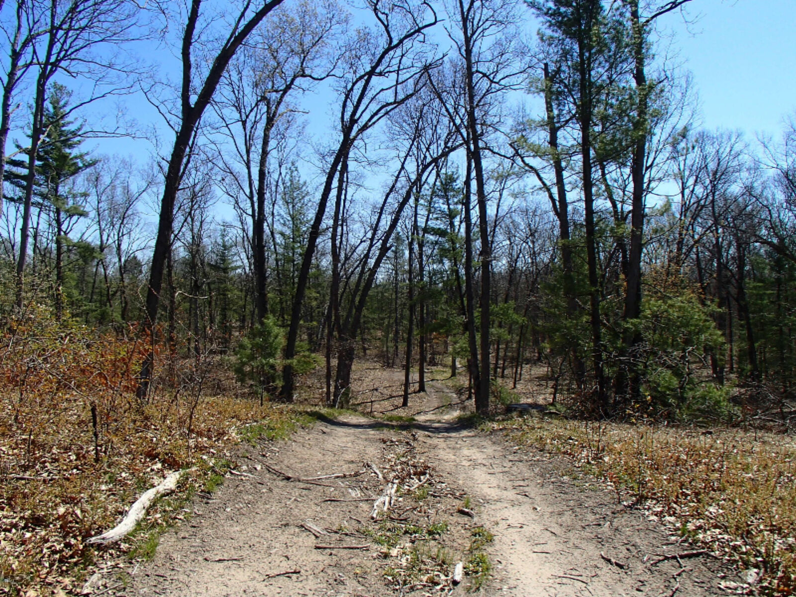 Property Photo:  0 Putnam Road  MI 49457 