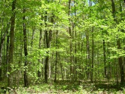 Property Photo: 11578 Rich Street MI 49417