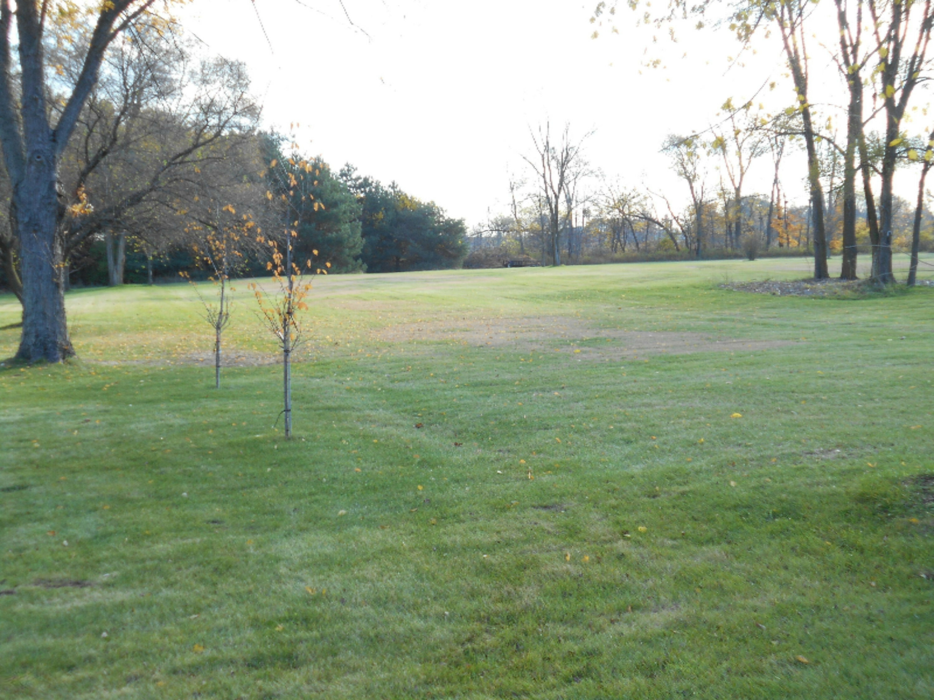 Property Photo:  5209 Washington  MI 49085 