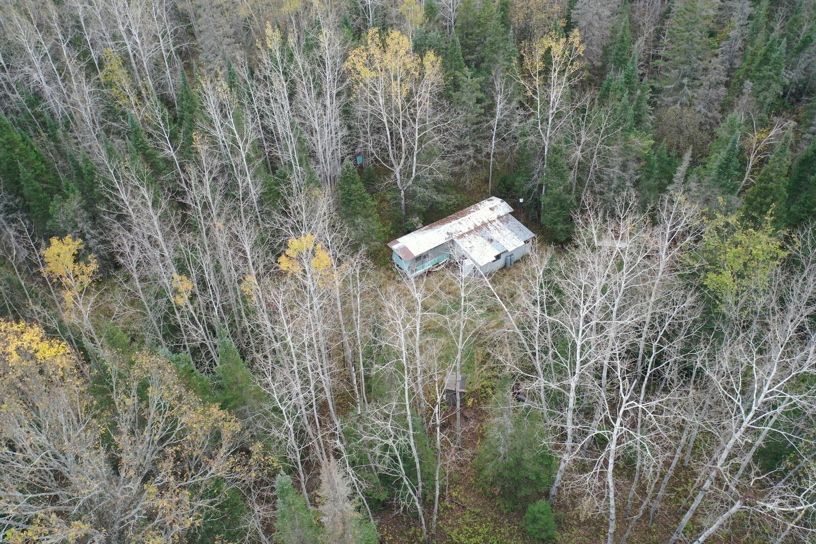 Property Photo:  80 A. S Hewer Rd  MI 49774 