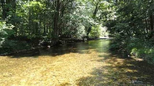 Property Photo: 4885 Sloop MI 49727