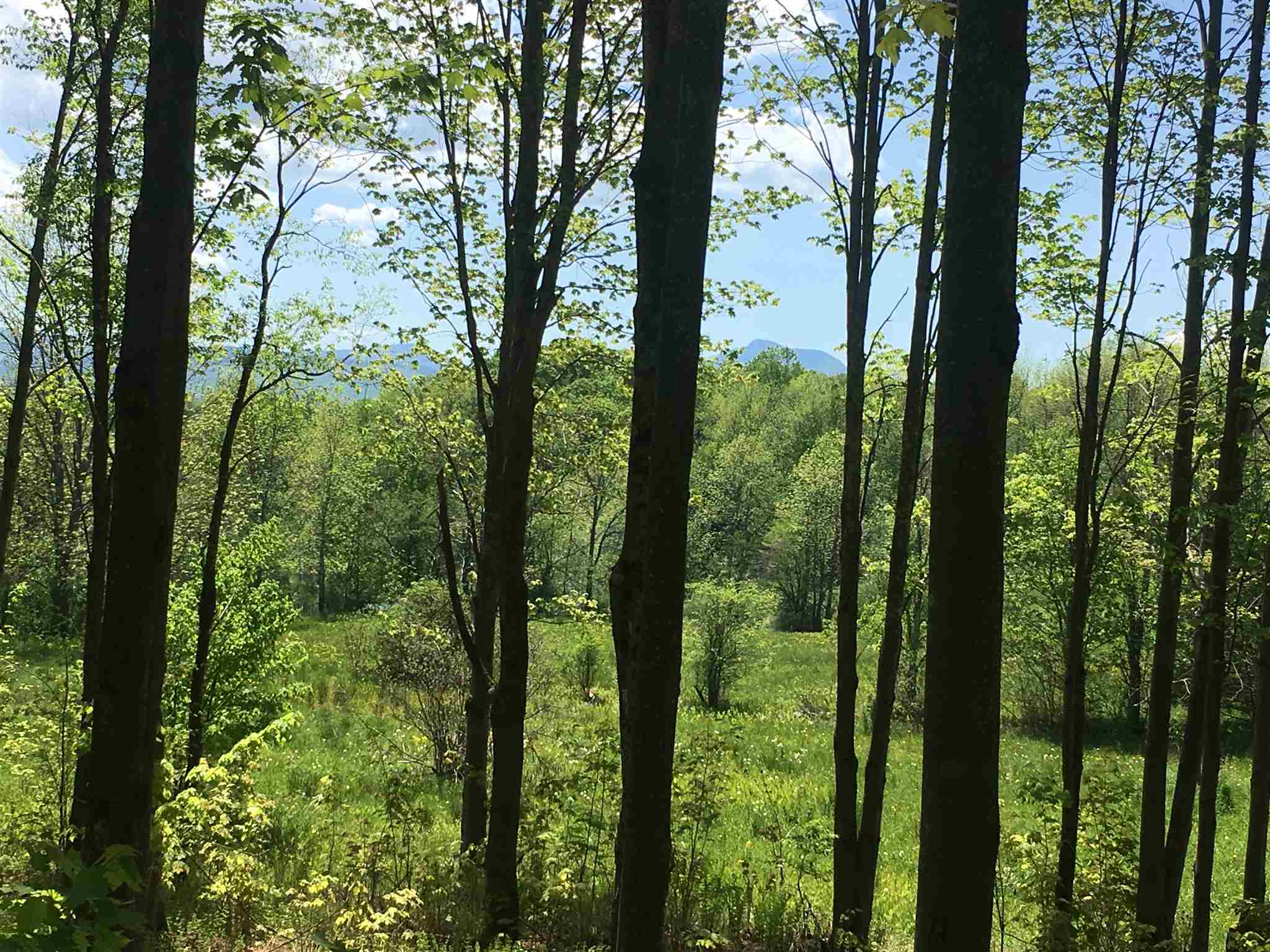 Property Photo: Lot 3 Guptil Road Lot #3 VT 05677