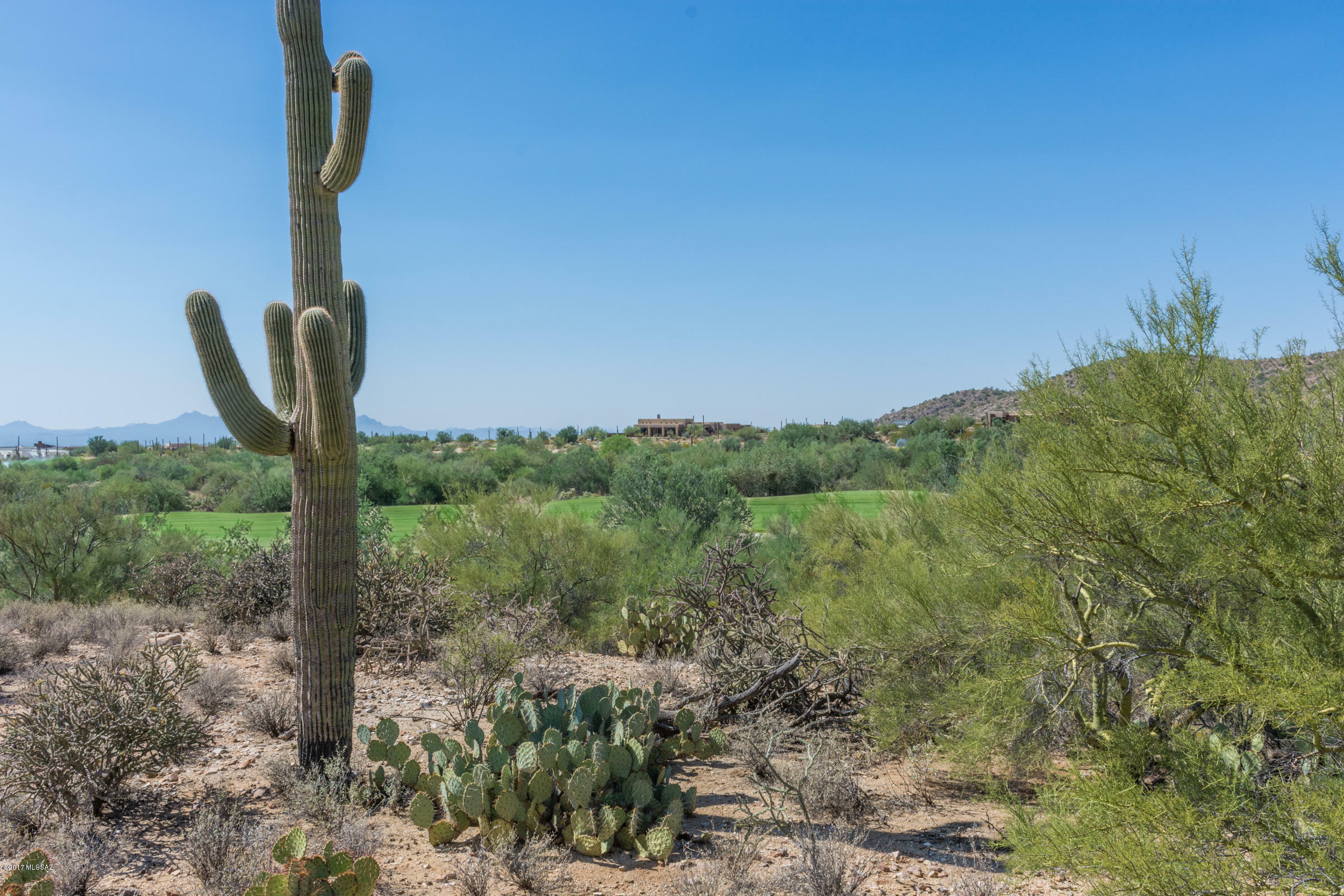 Property Photo:  14451 N Sunset Gallery Drive 8  AZ 85658 