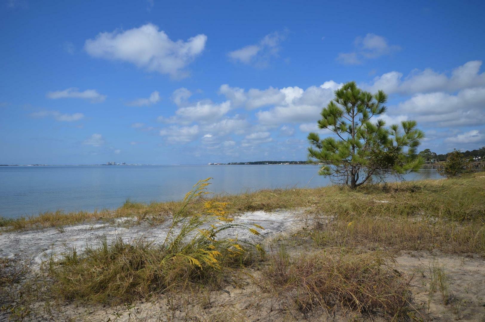 Property Photo:  2023 Pritchard Point Drive  FL 32566 