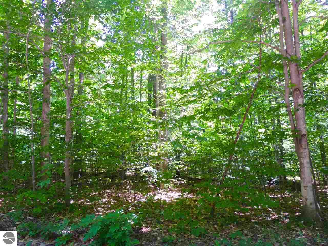 Property Photo: Lot 'H' Green Briar Road MI 49650