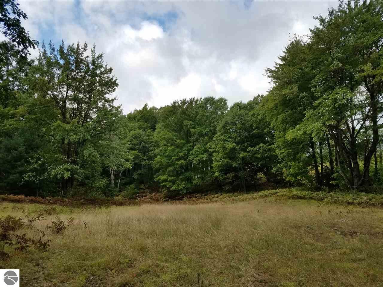 Property Photo:  V/L Michamy Way  MI 49663 