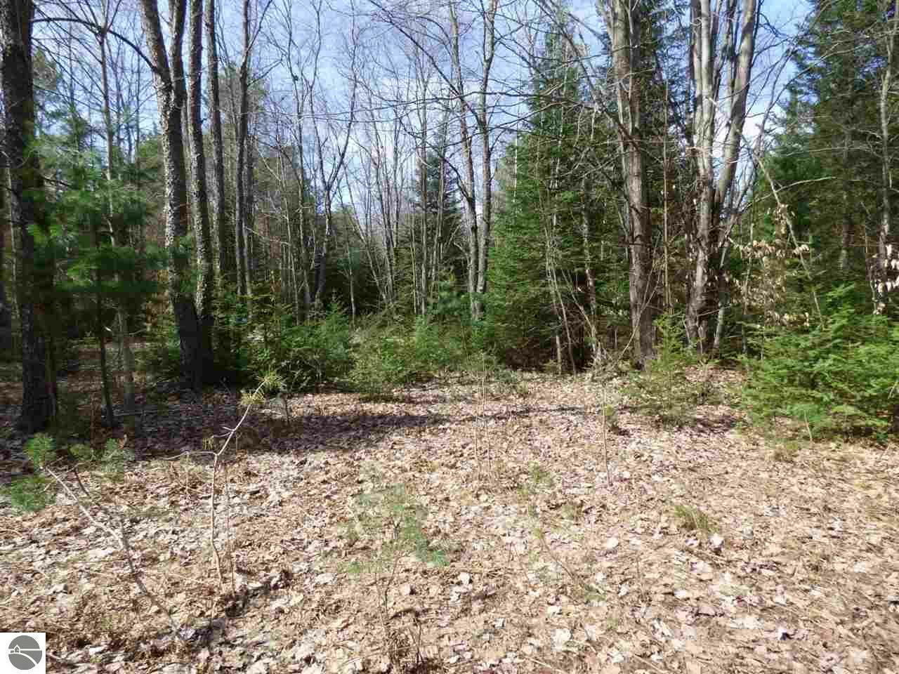 Property Photo:  10acres Victory Lane  MI 49612 