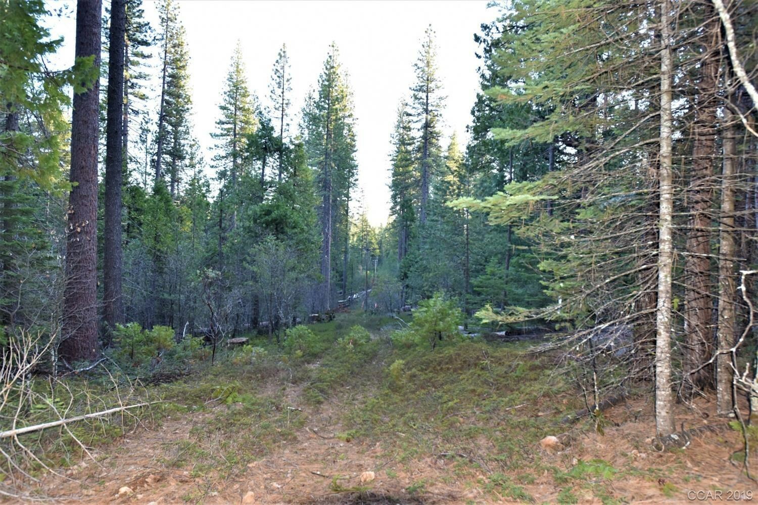 Property Photo:  3488 Moran Road  CA 95224 