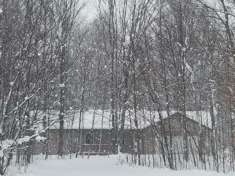 Property Photo: 3843 Musser Road MI 49659